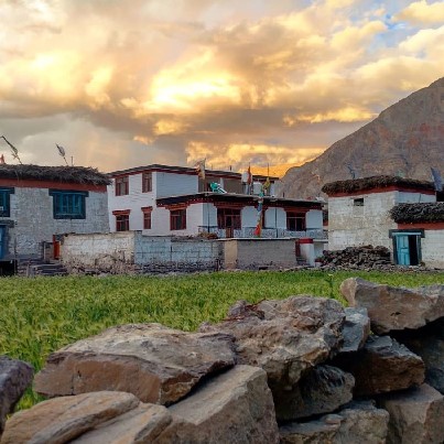 Vatika Camps
